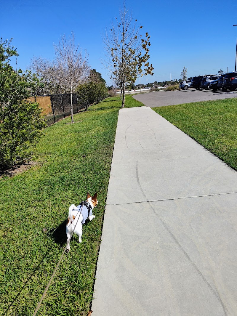 Winter Haven Dog Park photo 4