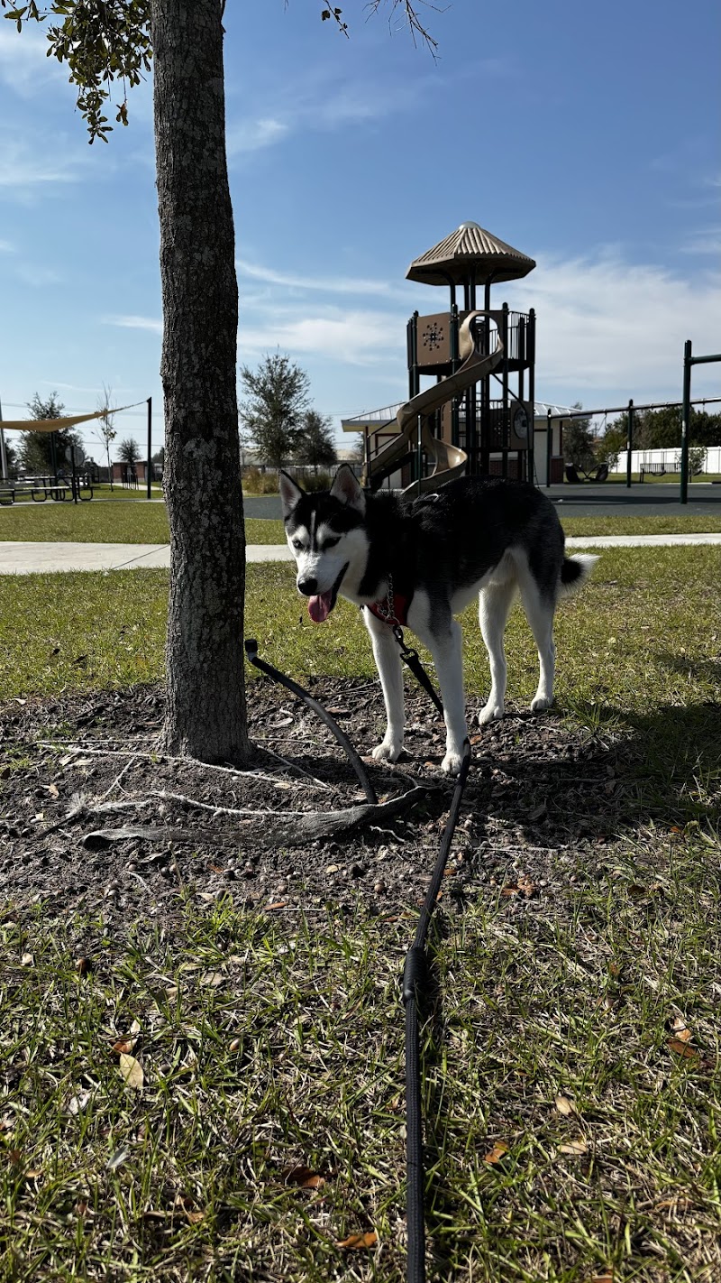 Winter Haven Dog Park photo 3