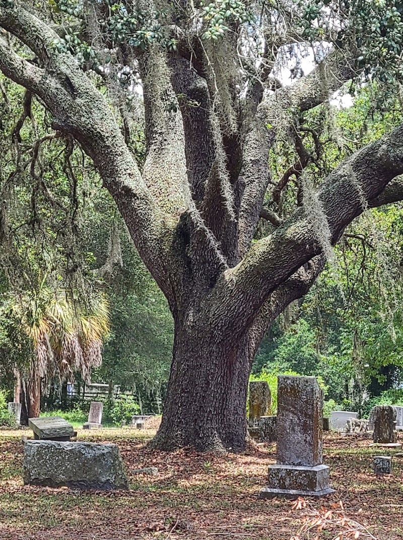 Photo of Trilby Country Cemetery