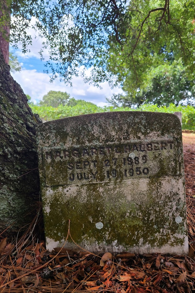 Trilby Country Cemetery photo 5
