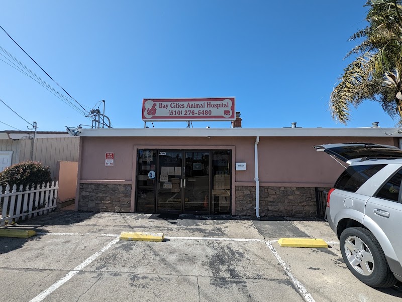 Bay Cities Animal Hospital photo 3