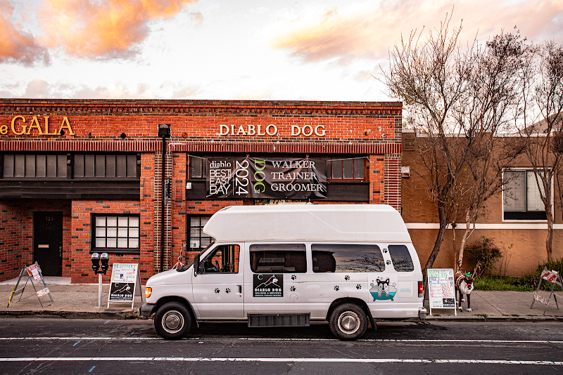 Photo of Diablo Dog