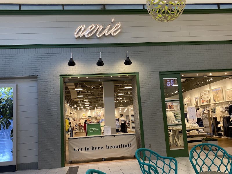Photo of Aerie & OFFLINE