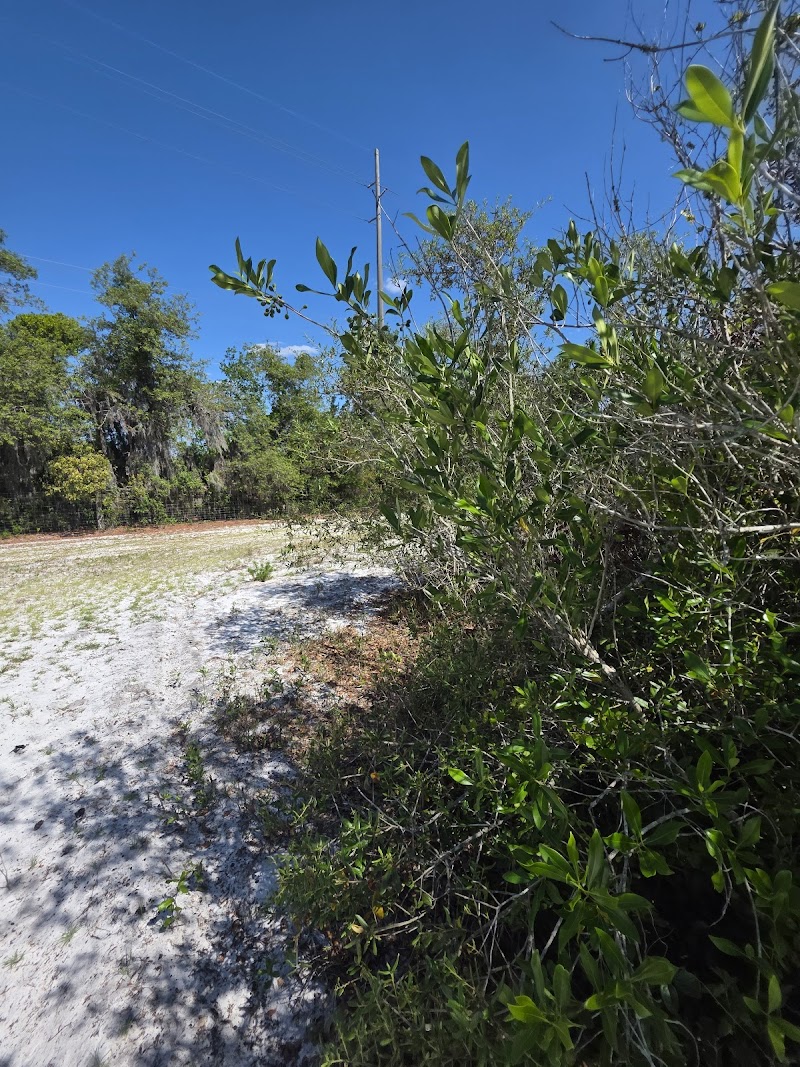 Photo of Lake Wales Ridge Wildlife and Environmental Area - Lake Blue