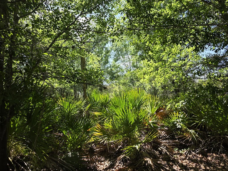 Lake Wales Ridge Wildlife and Environmental Area - Lake Blue photo 2