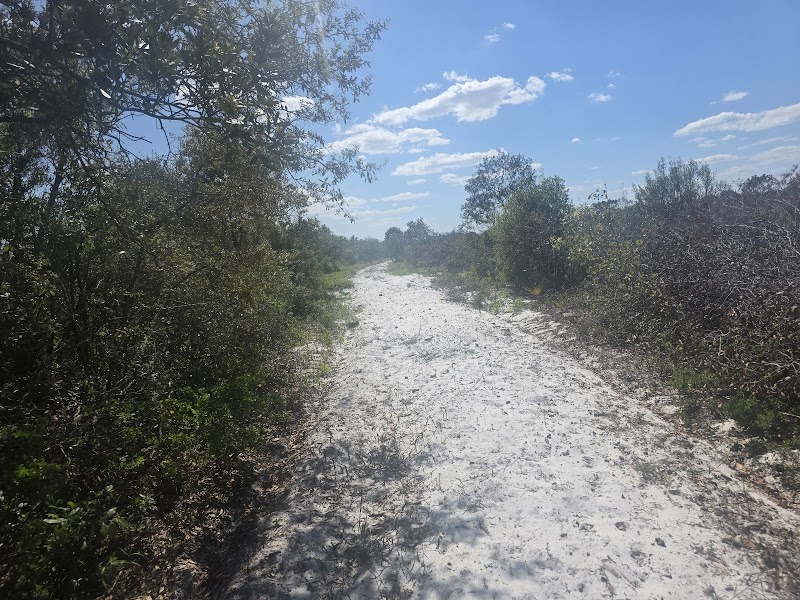 Lake Wales Ridge Wildlife and Environmental Area - Lake Blue photo 3