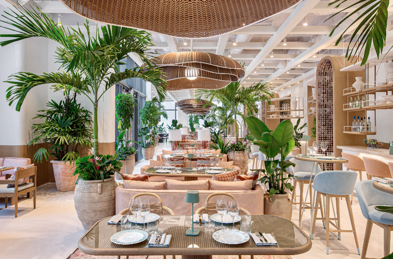 Photo of Amal Miami