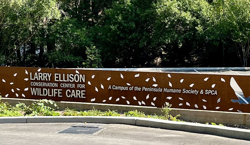 Larry Ellison Conservation Center for Wildlife Care: A Campus of the Peninsula Humane Society & SPCA photo 4