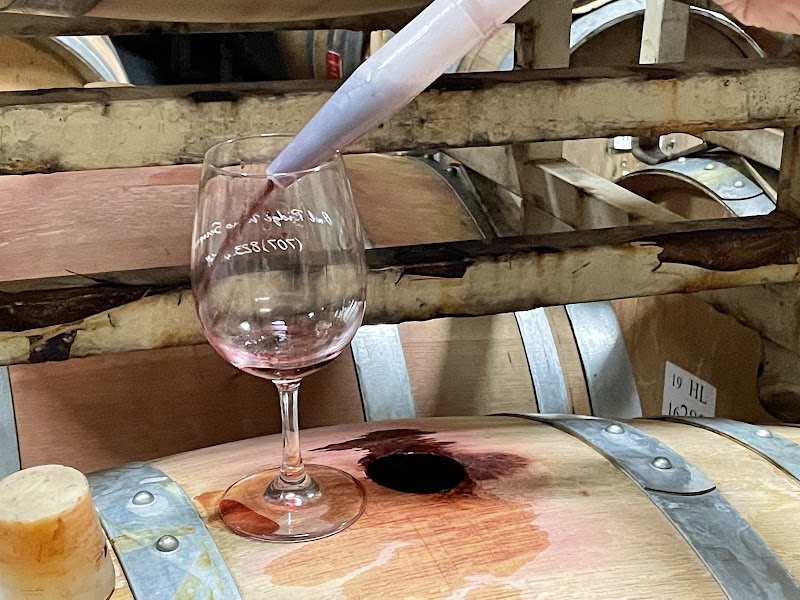 Halleck Vineyard Barrel Room photo 5