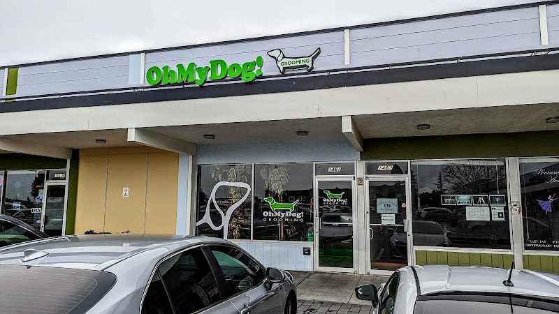 OhMyDog photo 4