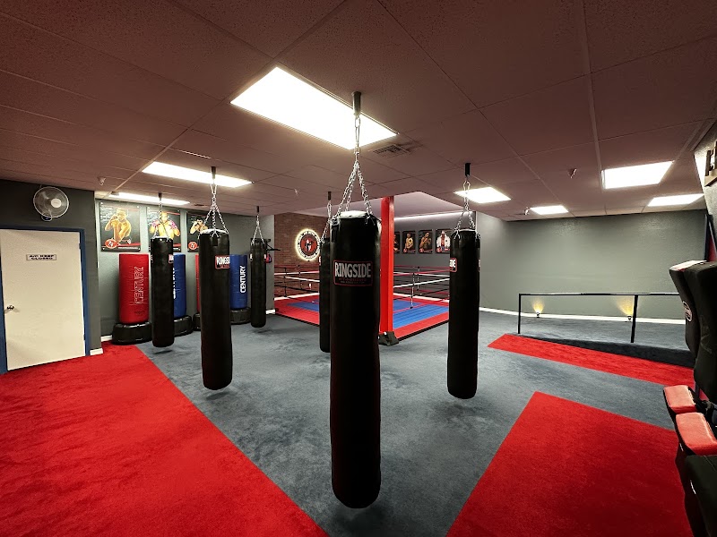 Amir Academy of Martial Arts photo 2