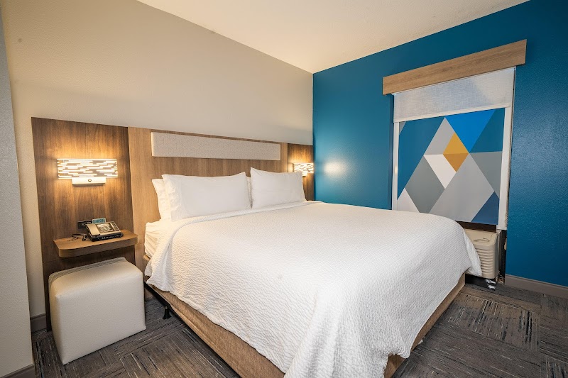 Holiday Inn Express & Suites Tampa Northwest-Oldsmar by IHG photo 5