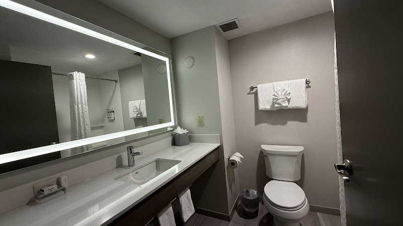 Holiday Inn Express & Suites Tampa Northwest-Oldsmar by IHG photo 4