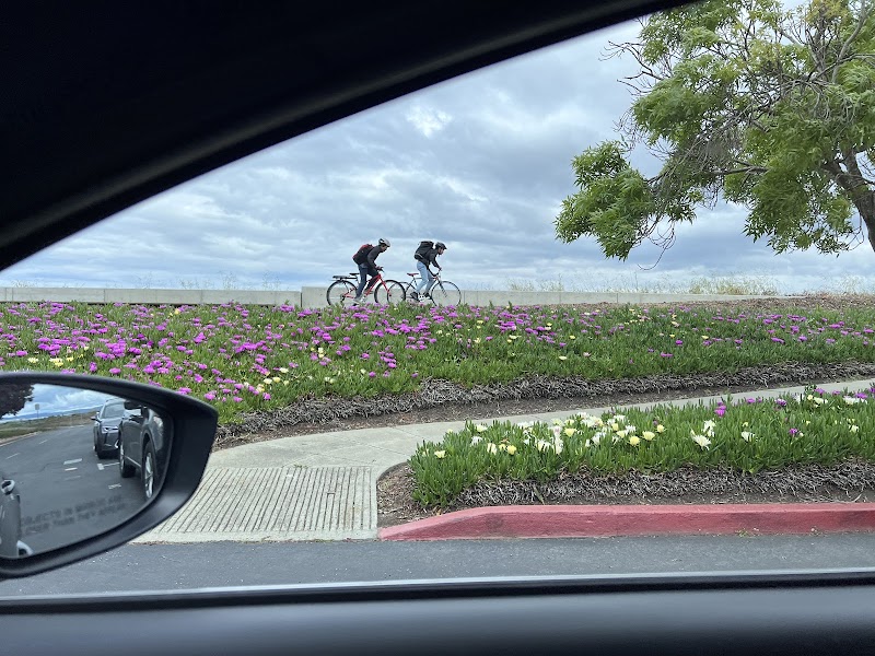 Foster City Blvd & Beach Park Blvd photo 5