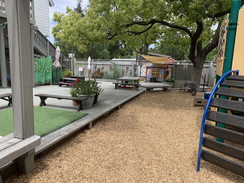 Photo of Sequoia Parents Nursery School