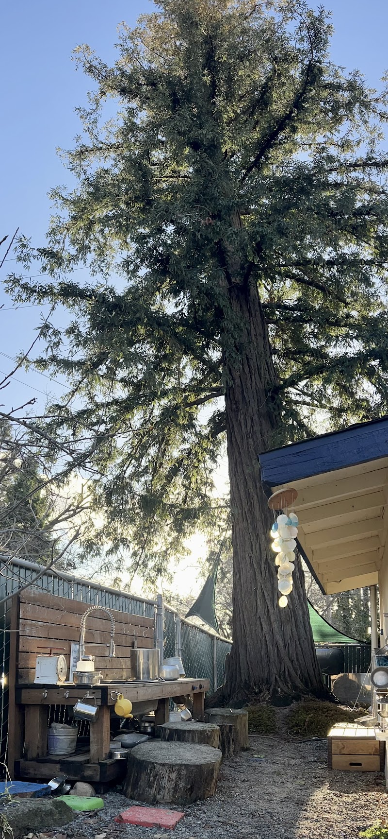 Napa Valley Nursery School Cooperative photo 3
