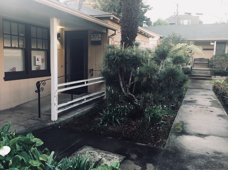The Bay Chiropractic & Massage photo 2