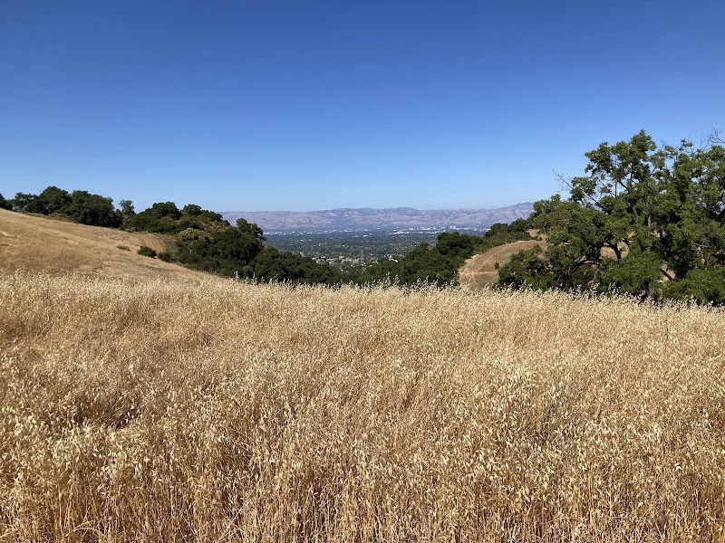 Fremont Older Open Space Preserve photo 5