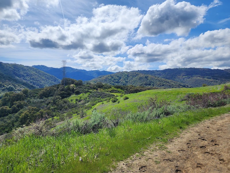 Photo of Fremont Older Open Space Preserve