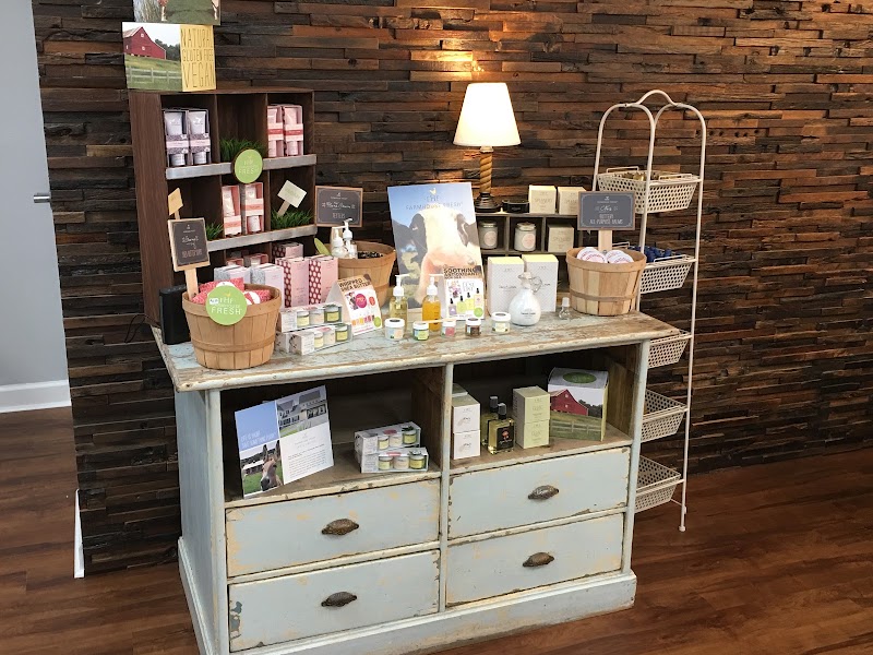 Renew Day Spa photo 5
