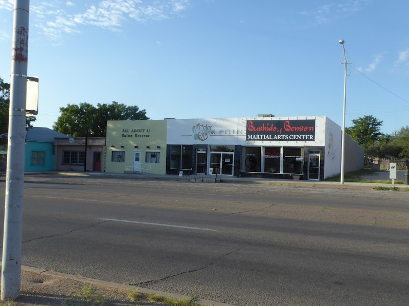 Photo of Bushido of Benson Martial Arts Center