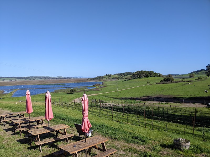 Reis River Ranch Winery & Tasting Room photo 5