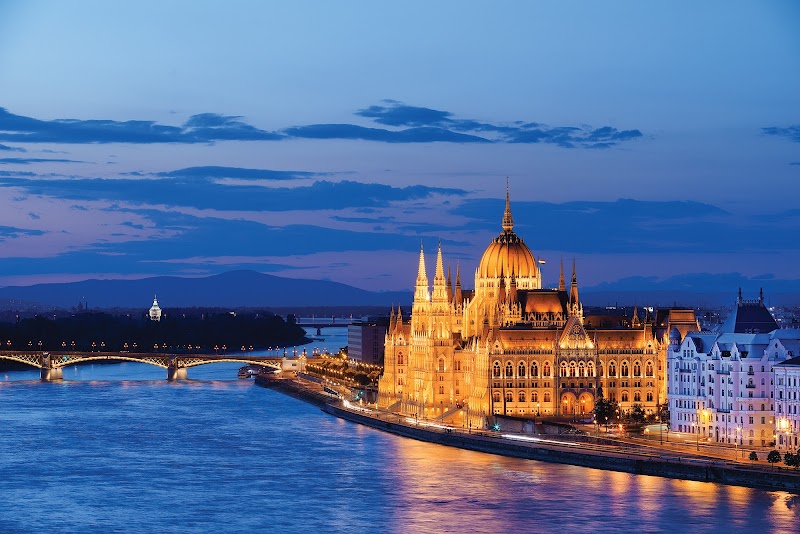 All Seas Cruises & Travel photo 5