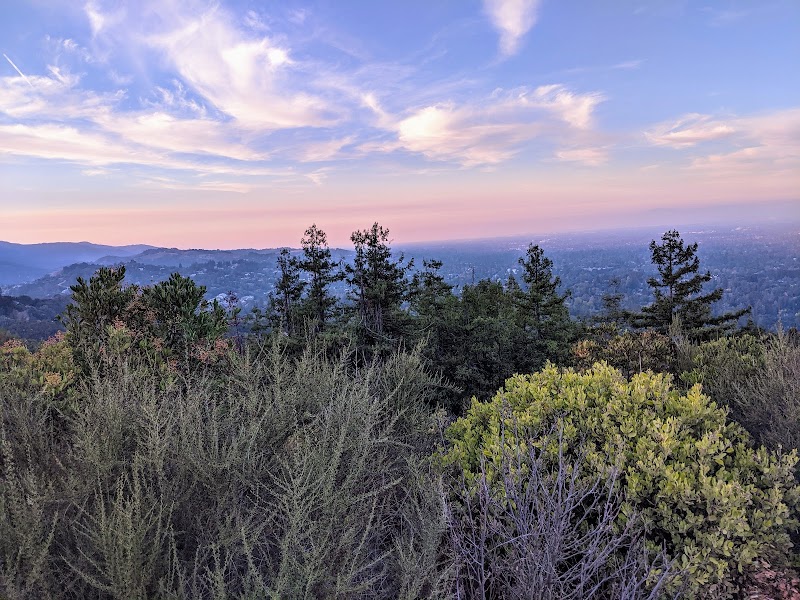 Villa Montalvo photo 3