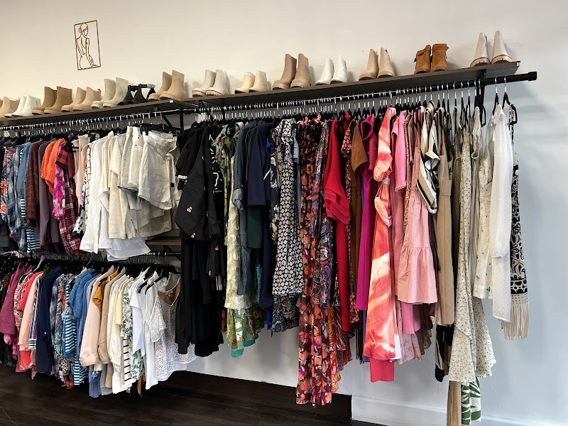 Elegant collection photo 4