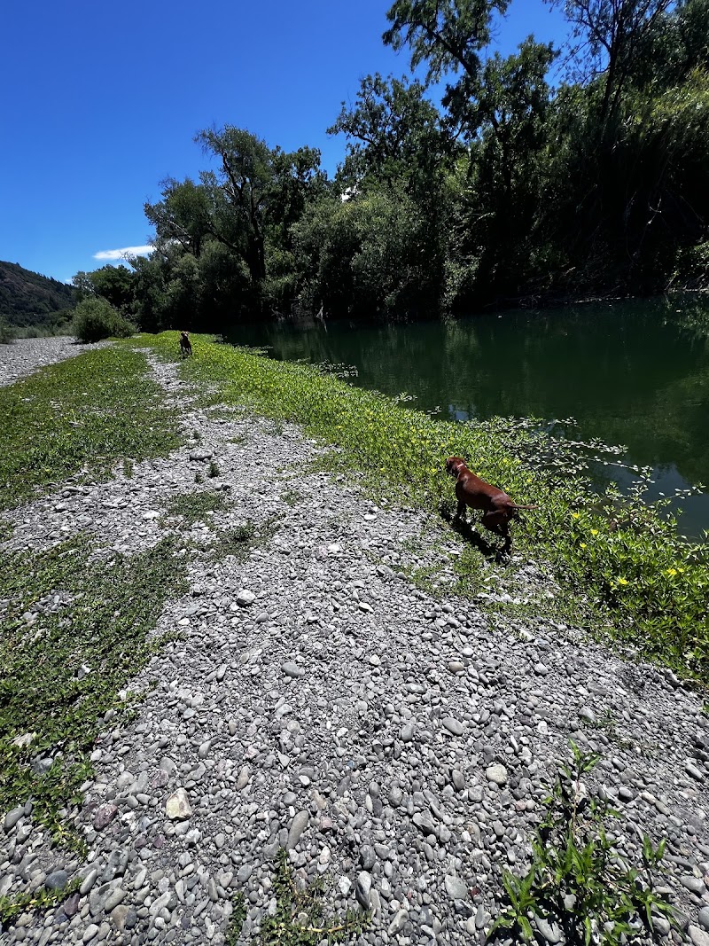Happy Dog Adventures photo 2