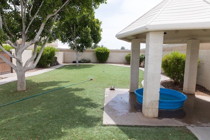 4 Paws Pet Resort photo 4