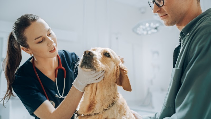 Photo of Washington Avenue Veterinary Emergency & Specialty Hospital (WAVES)