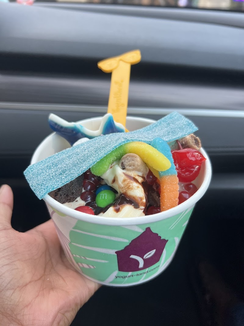 Yogurtland Cupertino photo 3