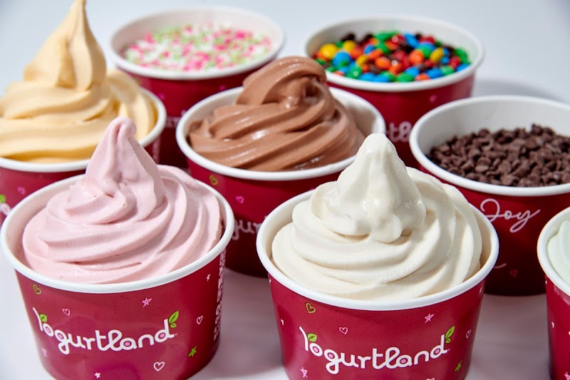 Yogurtland Cupertino photo 4