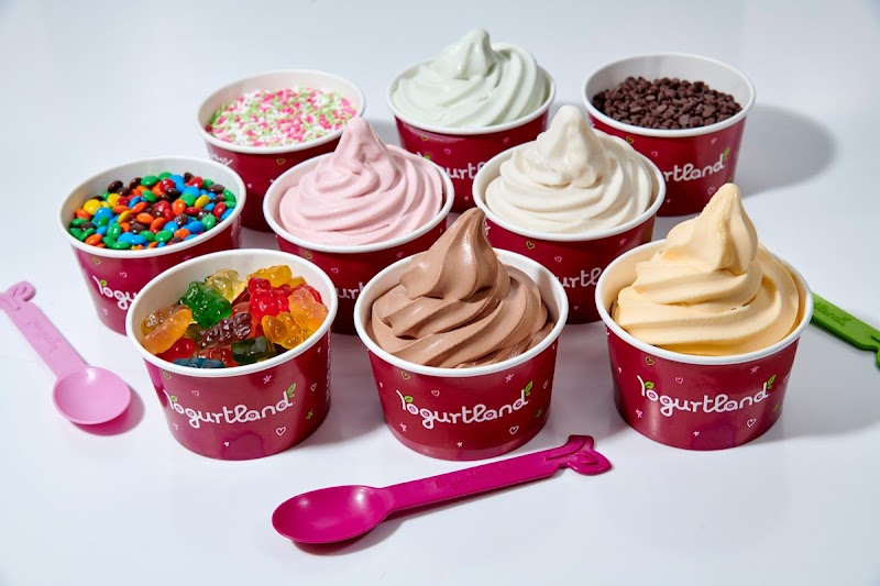 Yogurtland Cupertino photo 2