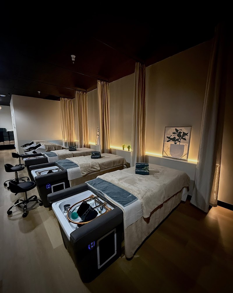 The Sense head + scalp spa - Mountain View photo 2