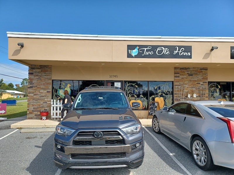 Photo of Two Ole hens