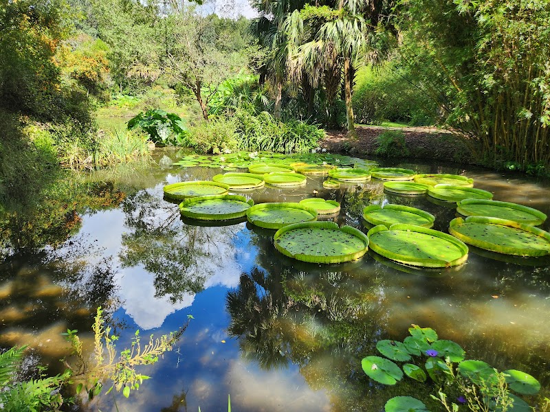Photo of Kanapaha Botanical Gardens
