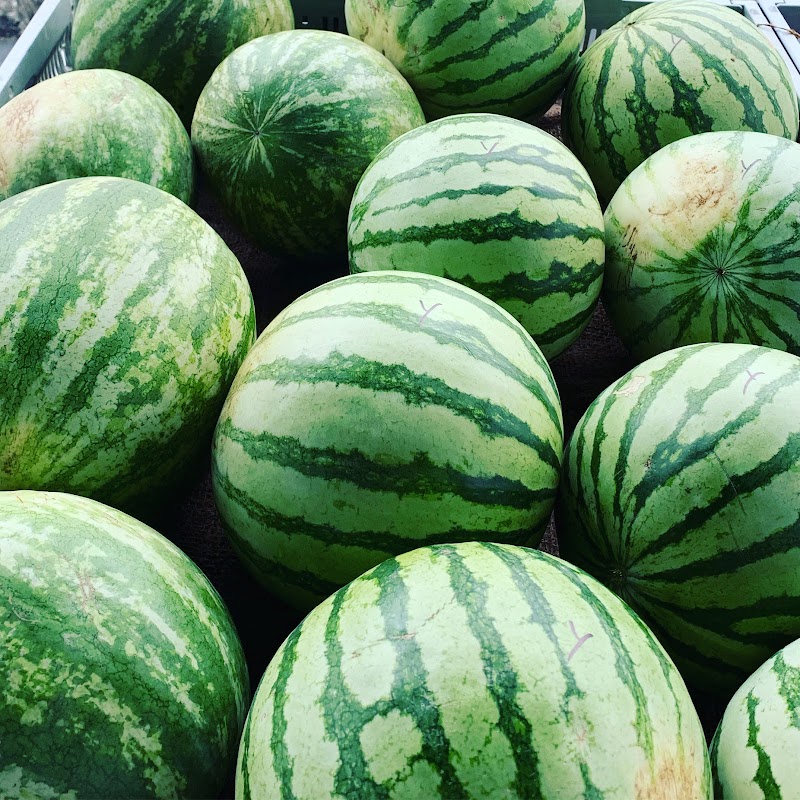 Cotati Certified Farmer's Market photo 2