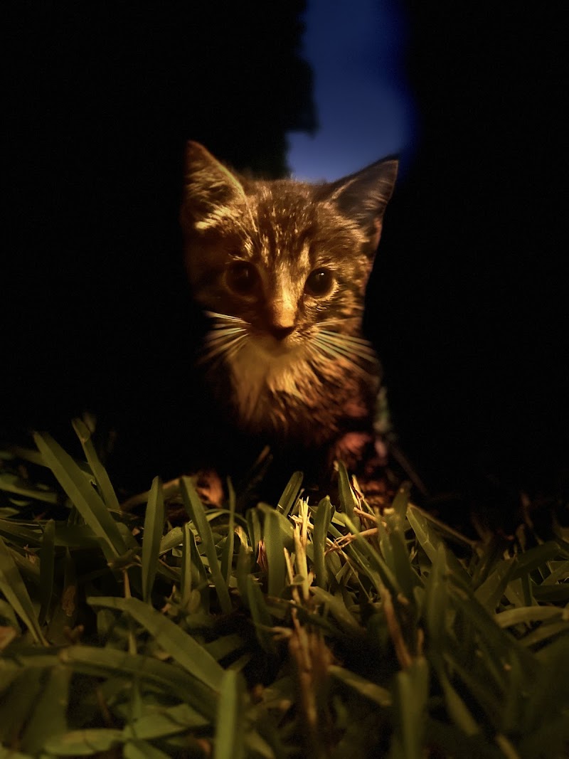 Companion Animal Hospital photo 2