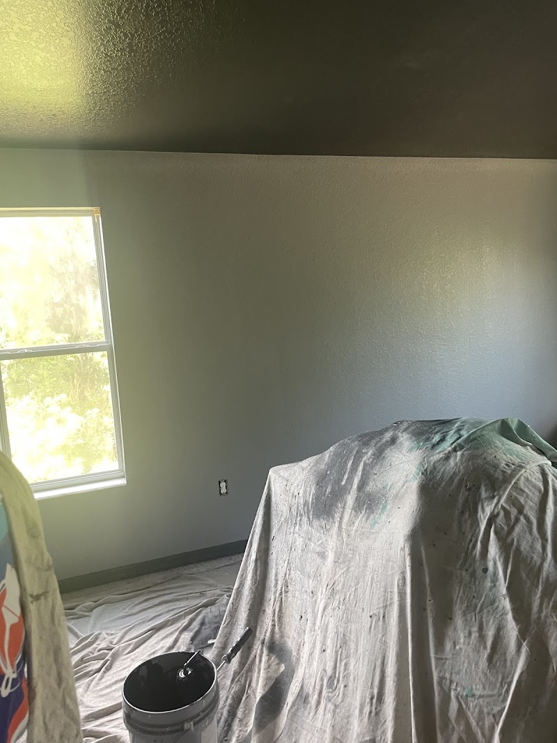 DCarypainting LLC photo 3