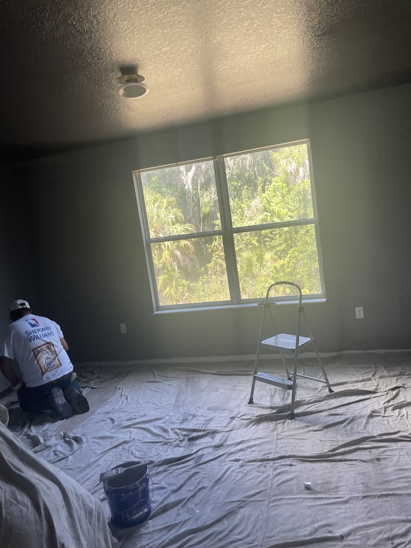 DCarypainting LLC photo 4