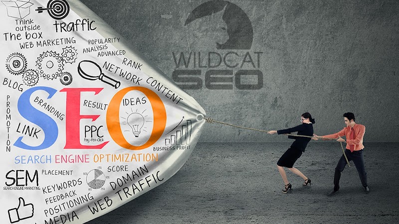 Photo of Wildcat SEO