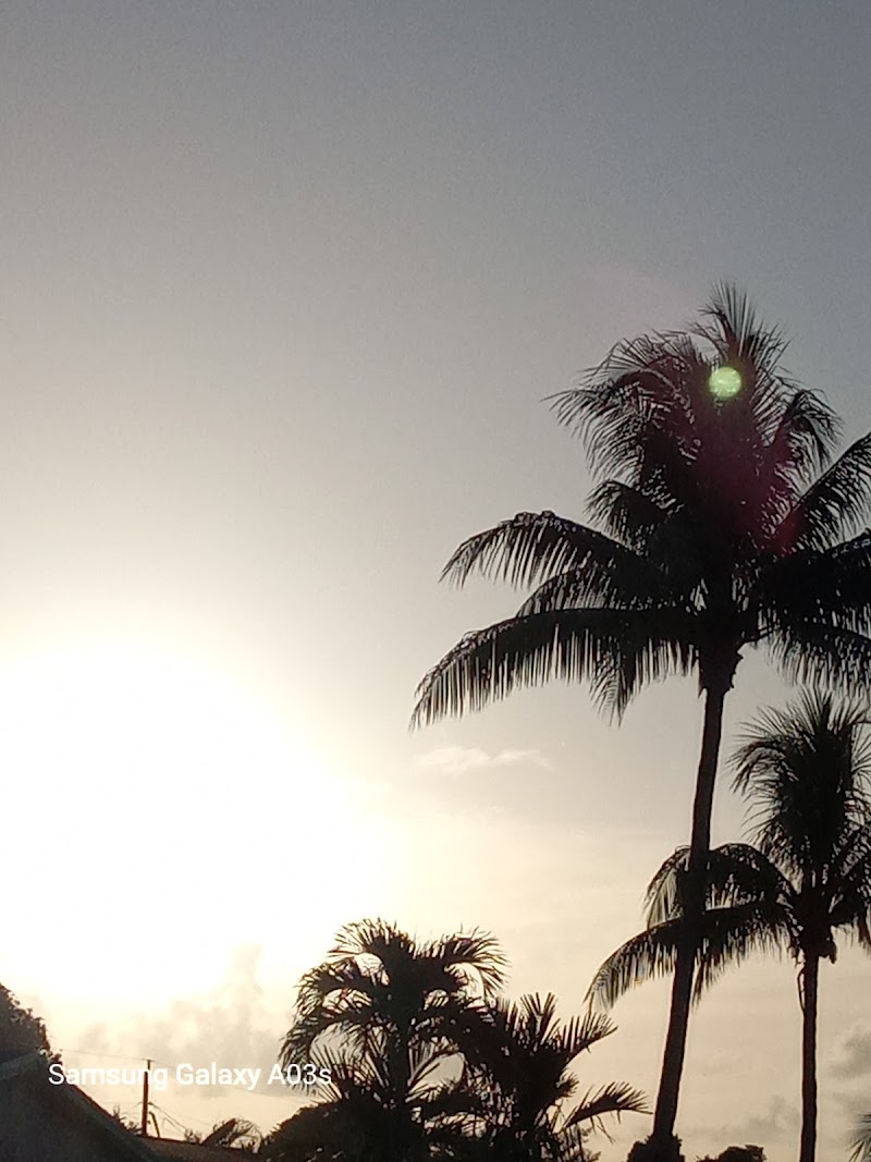 Florida Seminole Tourism photo 3