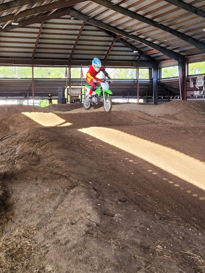 Spyder MX photo 3