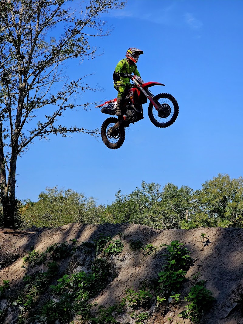 Spyder MX photo 2
