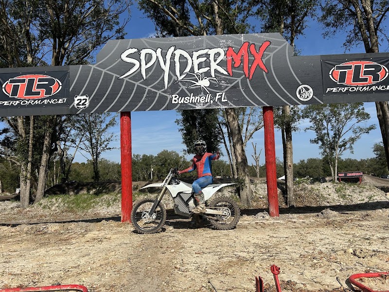 Spyder MX photo 4
