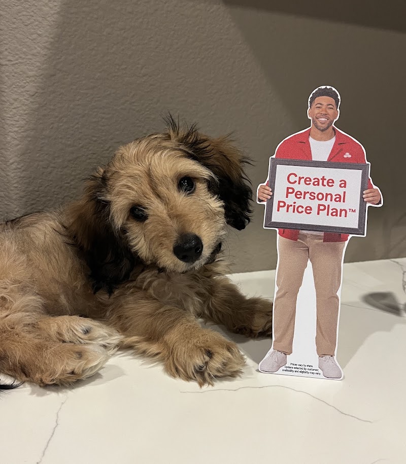 Olimpia Garner - State Farm Insurance Agent photo 5