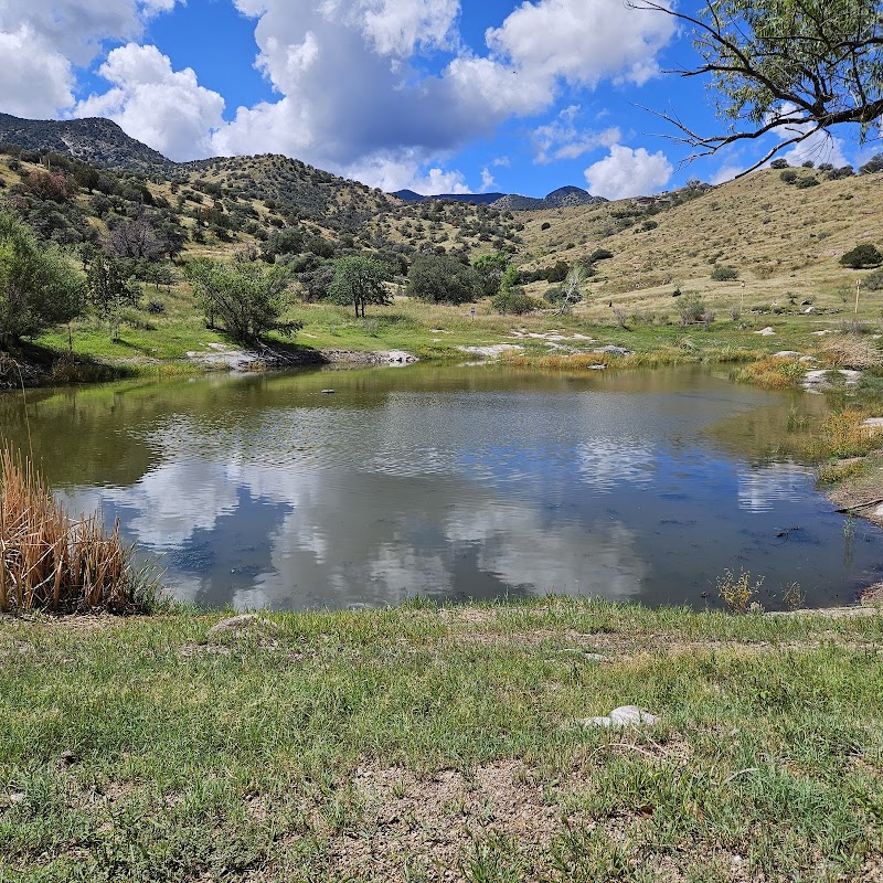 Photo of IHG Cooling Pond