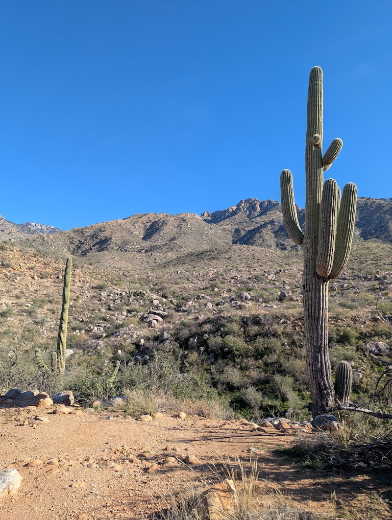 Photo of Campground A